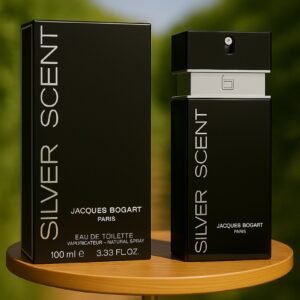 Fancy Beauty Perfume - siver scent